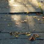 Ode to Our Sidewalk